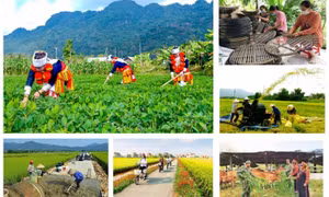Thủ tướng Chính phủ đôn đốc triển khai quyết liệt các chương trình mục tiêu quốc gia