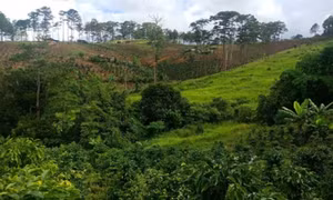 Bỏ nghề lao vào cơn sốt đất, giờ thất nghiệp đi chạy xe ôm