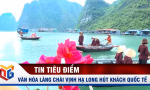 Văn hóa làng chài vịnh Hạ Long hút khách quốc tế