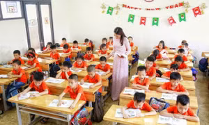 Cách tính hệ số lương giáo viên tiểu học hạng II