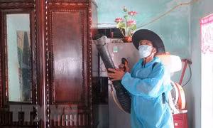 Sốt xuất huyết diễn biến phức tạp, Bộ Y tế khuyến cáo cách phòng bệnh