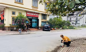 Hạ Long: Sớm khắc phục ngập úng tại khu đô thị Vựng Đâng