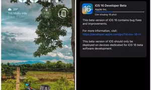 Nóng lòng lên iOS 16, nhiều iPhone tại Việt Nam gặp lỗi vặt