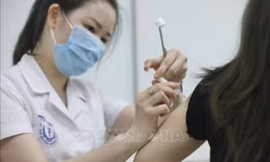 Trên 240 tình nguyện viên tiêm thử nghiệm giai đoạn 3 vaccine Nano Covax