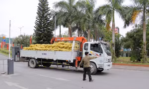 Kết nối tiêu thụ nông sản có địa chỉ: Cách làm hiệu quả