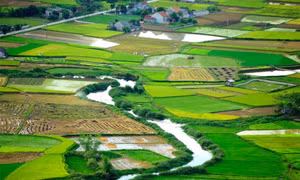 Vẻ lộng lẫy của “thiên đường màu xanh” ngay ở Việt Nam