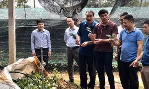 Đảm bảo tiến độ, chất lượng nhiệm vụ KH&CN
