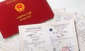 Cắt giảm các chứng chỉ phải gắn với nâng cao chất lượng đào tạo, bồi dưỡng cán bộ