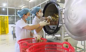 Xác lập hướng đi bền vững trong tiêu thụ sản phẩm thủy sản