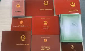 Gã trai bị bắt khi đang "ship" bằng đại học, con dấu giả của ủy ban