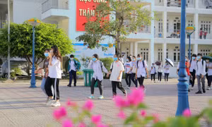 Thí sinh hoàn thành 4 môn chuyên: Sinh học, Lịch sử, Địa lý, Tiếng Anh