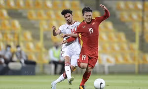 Việt Nam vào vòng loại cuối World Cup 2022