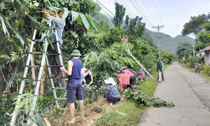 “Ngày chủ nhật xanh” - nét đẹp ở Hải Hà