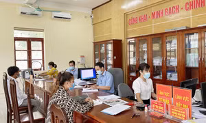 Tiên Yên: Vững đà tăng trưởng trong trạng thái bình thường mới
