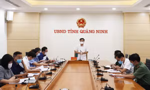 UBND tỉnh nghe và cho ý kiến về các giải pháp thúc đẩy chế biến, tiêu thụ, xuất khẩu nông sản, thủy sản