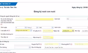 Nhiều bất cập trong thi hành Luật Nuôi con nuôi	