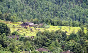 Bản vùng cao vào hè