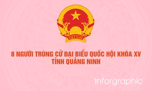 8 người trúng cử Đại biểu Quốc hội khóa XV tỉnh Quảng Ninh