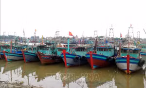 Bão số 2 gây thiệt hại lớn tại một số địa phương ven biển Nam Định