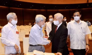 Làm sâu sắc hơn, cụ thể hơn học tập Bác, làm theo Bác trong thực tiễn