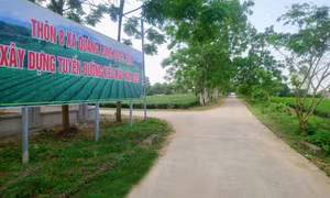 Quảng Long (Hải Hà) xây dựng nông thôn mới nâng cao