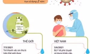 Thông tin về vaccine phòng COVID-19 của Sinopharm, Trung Quốc