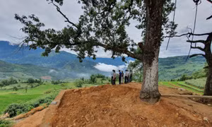 Bộ Văn hóa, Thể thao và Du lịch yêu cầu báo cáo vụ bê tông hóa điểm ngắm cảnh ở Y Tý