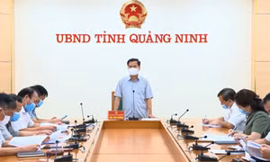 UBND tỉnh họp rà soát, đánh giá công tác quản lý thuế