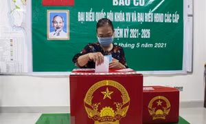 Tổng hợp kết quả bầu cử chính xác để công bố danh sách trúng cử