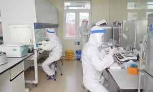 Triển khai xét nghiệm nhanh kháng nguyên vi rút SARS-CoV-2