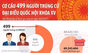 Cơ cấu 499 người trúng cử đại biểu Quốc hội khóa XV