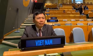 Việt Nam cam kết thúc đẩy vai trò của Hiến chương Liên hợp quốc