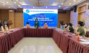 Hội LHPN tỉnh triển khai nhiệm vụ 6 tháng cuối năm