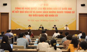 Hội đồng Bầu cử quốc gia bác tư cách đại biểu Quốc hội với một trường hợp