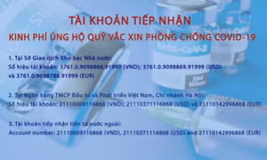 Quỹ vắc xin phòng, chống Covid-19 là giải pháp chiến lược, lâu dài thoát khỏi đại dịch