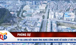 TP Hạ Long đẩy mạnh ứng dụng công nghệ số quản lý đô thị