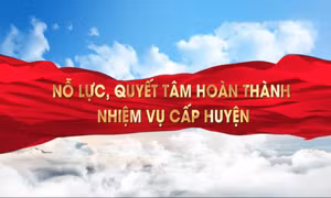 Nỗ lực, quyết tâm hoàn thành nhiệm vụ cấp huyện