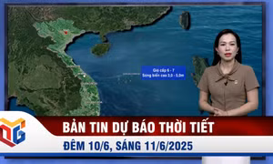 Bản tin dự báo thời tiết đêm 10, ngày 11/6/2025