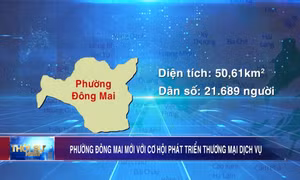 Phường Đông Mai mới với cơ hội phát triển thương mại dịch vụ