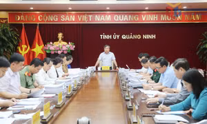 Hội nghị Ban Thường vụ Tỉnh ủy