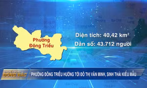 Phường Đông Triều hướng tới đô thị văn minh, sinh thái kiểu mẫu