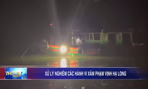 Xử lý nghiêm các hành vi xâm phạm Vịnh Hạ Long