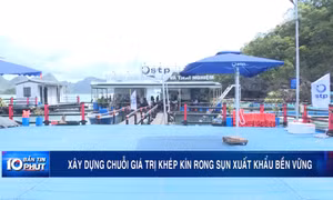 Xây dựng chuỗi giá trị khép kín rong sụn xuất khẩu bền vững