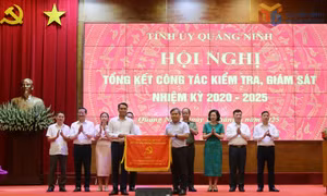 Tổng kết công tác kiểm tra, giám sát nhiệm kỳ 2020-2025