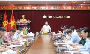 Giao ban Thường trực Tỉnh ủy