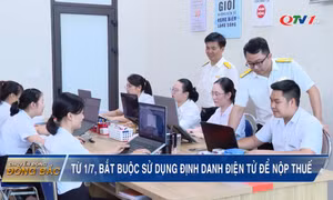 Từ 1/7, doanh nghiệp bắt buộc phải sử dụng tài khoản định danh điện tử để nộp thuế