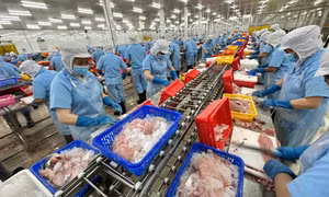 Doanh nghiệp Việt ứng phó trước chính sách thuế quan của Hoa Kỳ