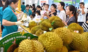 Các nước cạnh tranh khốc liệt thị phần sầu riêng Trung Quốc
