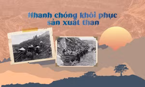 Nhanh chóng khôi phục sản xuất than