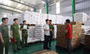 Công an đột kích Công ty Famimoto, tạm giữ hàng trăm tấn mì chính, hạt nêm giả